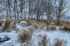 20230425_071829-Copy