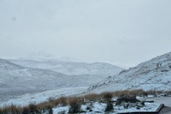 20230425_071919-Copy