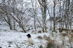 20230425_071955-Copy