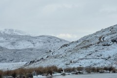 20230425_072214-Copy