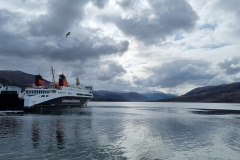 20230425_102434-Copy