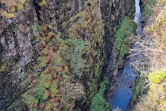 20230425_123018-Copy