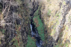 20230425_123115-Copy