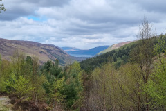 20230425_124918-Copy