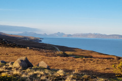 20230426_065338-Copy-Copy-Copy-Copy