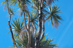 20230426_120750-Copy