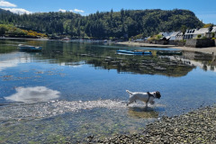 20230426_124919-Copy