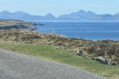 IMG_3019-Copy-Copy-Copy