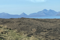 IMG_3020-Copy-Copy-Copy