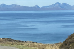 IMG_3021-Copy-Copy-Copy