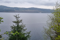 20230427_175002-Copy