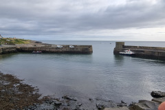 20230821_085936-Copy