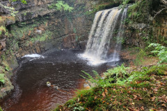 20230917_102642-Copy