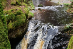 20230917_102801-Copy