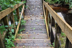 20230917_103032-Copy