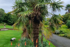 20230917_151421-Copy