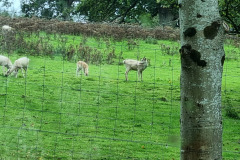 20230917_160032-Copy