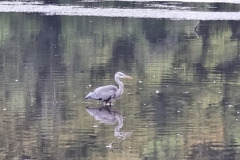 20230917_161123-Copy