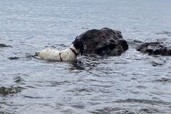 IMG-20230917-WA0001-Copy