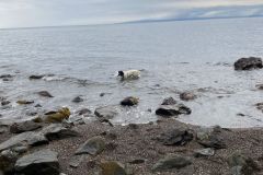 IMG-20230917-WA0002-Copy