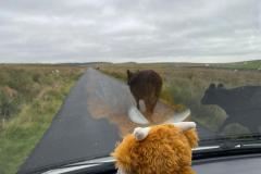 IMG-20230917-WA0051-Copy