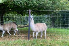 IMG-20230917-WA0055-Copy