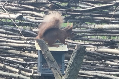 20230411_104147-Copy