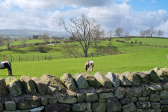 20230411_114741-Copy